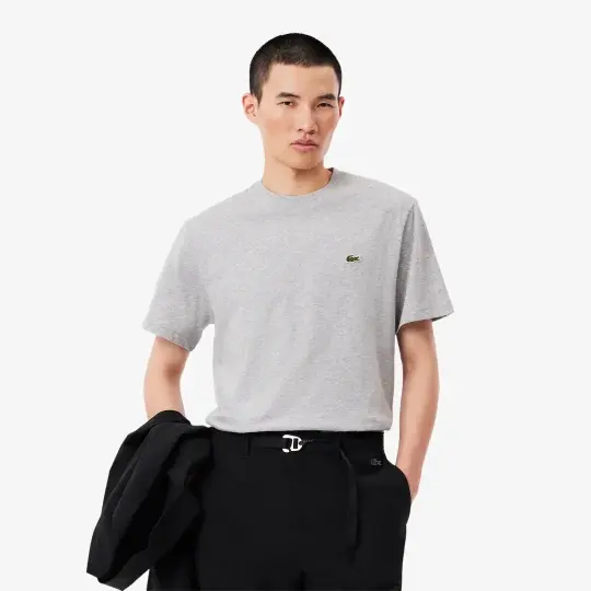 Classic Fit Bisiklet Yaka T-Shirt Gri